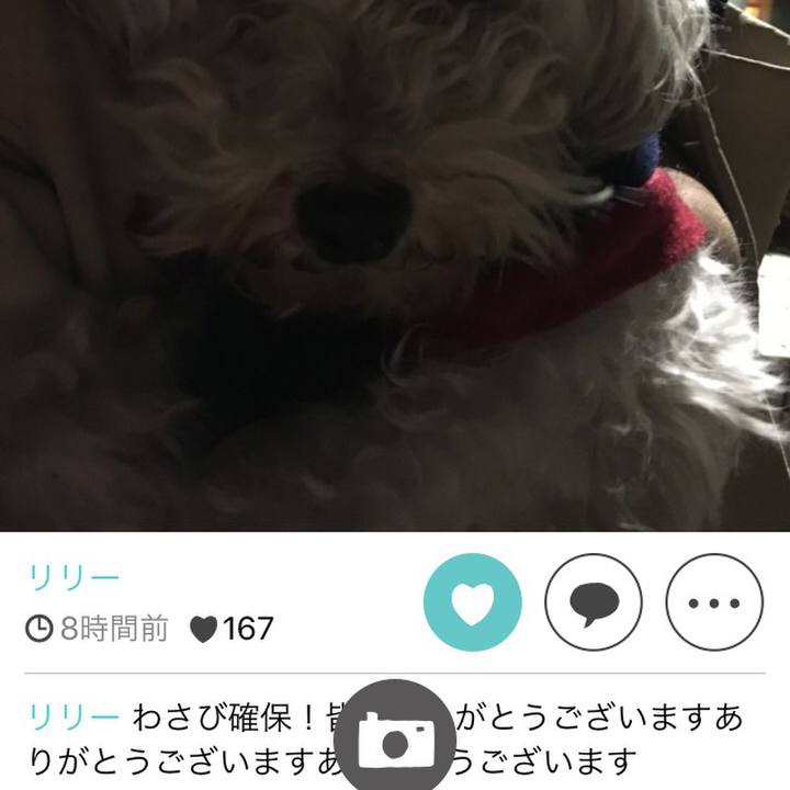 D07ce386 a90b 4eaa 9b5b a3f84ec0d6b4