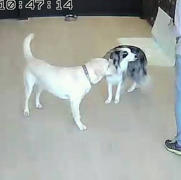 D07d1026 b3bb 48ef b40d 19dbbe59f2b7