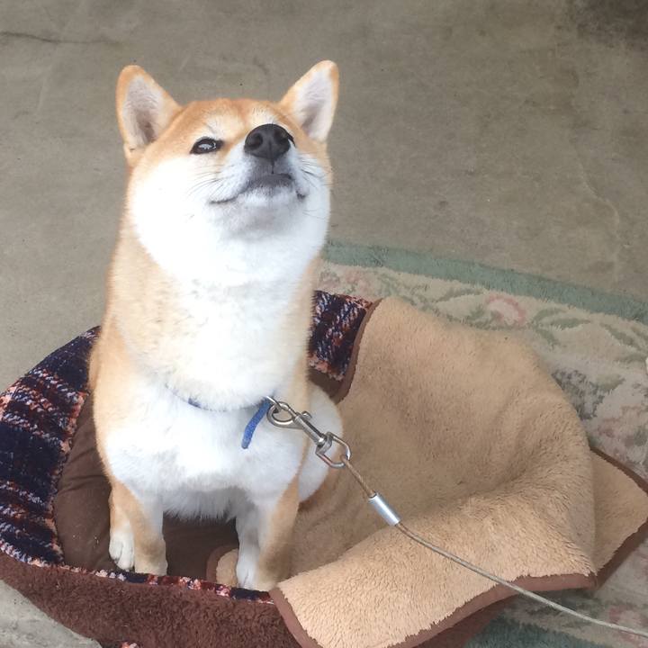 D07d7be3 fada 486c a34c 14d4f5753b20