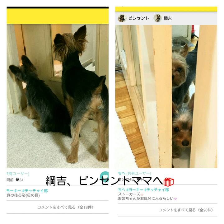 D07e18ac fe4c 40e9 b24a 63c631a3fac2