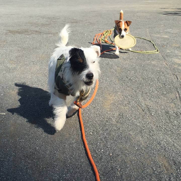 D07e3964 82a4 4bca 9744 4470908b4463