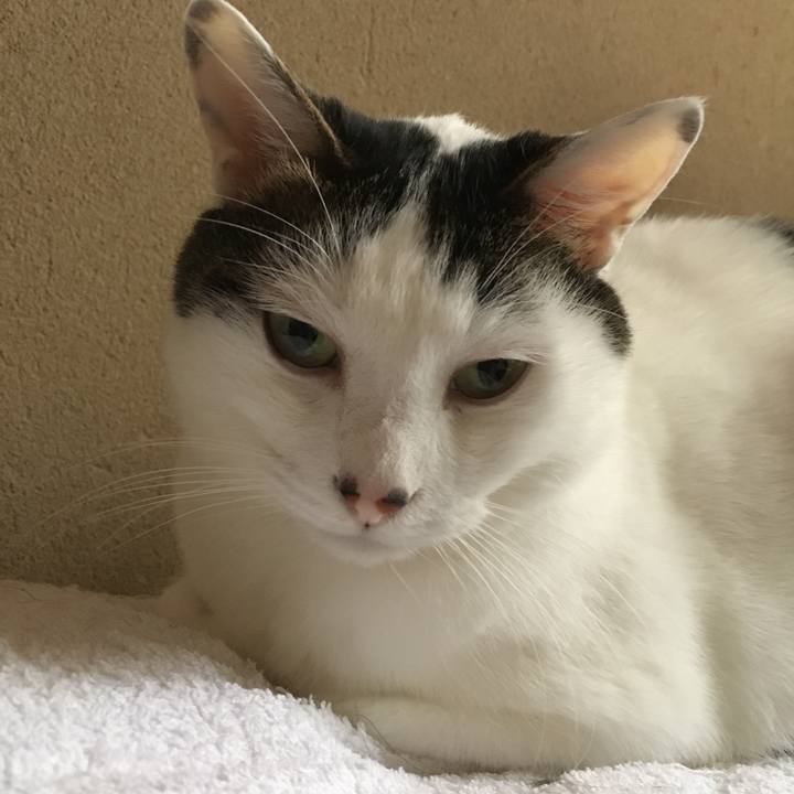 D07e72b7 fdee 4dda b014 b6dcb200b278