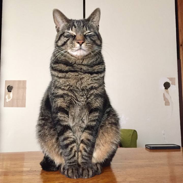 D07f953f d3c9 4ca1 8d49 8053459c8ca5