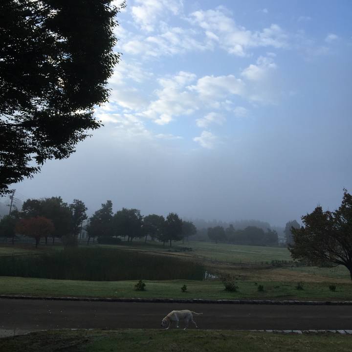 D07ff8c7 f8d6 44fa 8778 3a8dc4aa9077