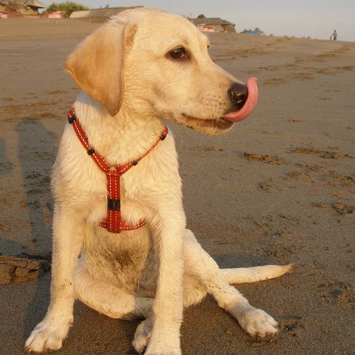 D080b6ba a222 44cd 8ed8 919f2eba7358