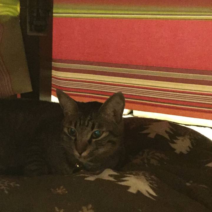 D080bb1b e9df 4146 a9ec efa9fa5c4a15