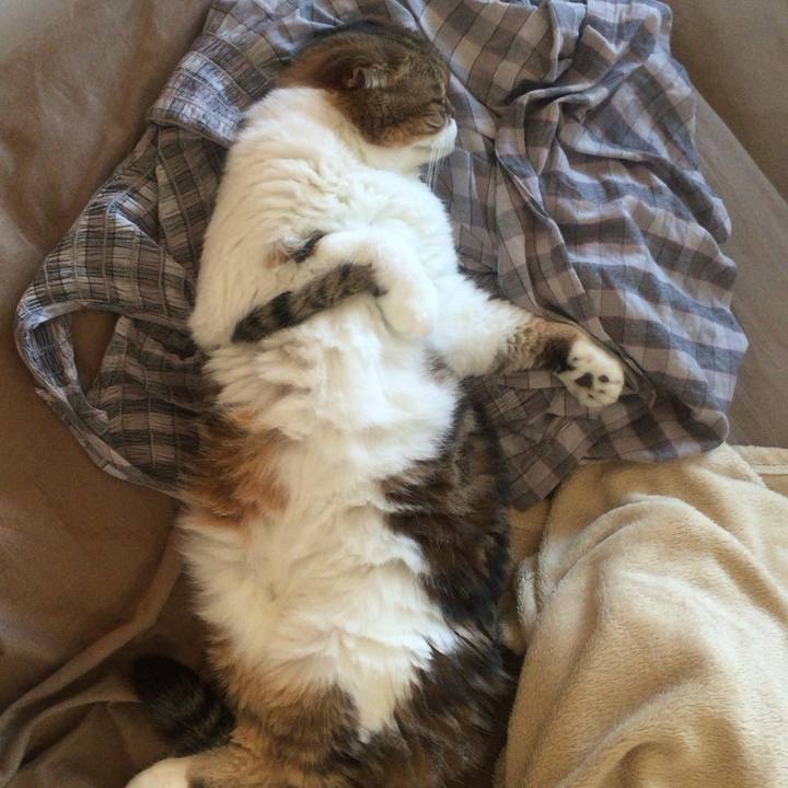 D08144d6 53b6 4532 ab82 e263c58dda9a