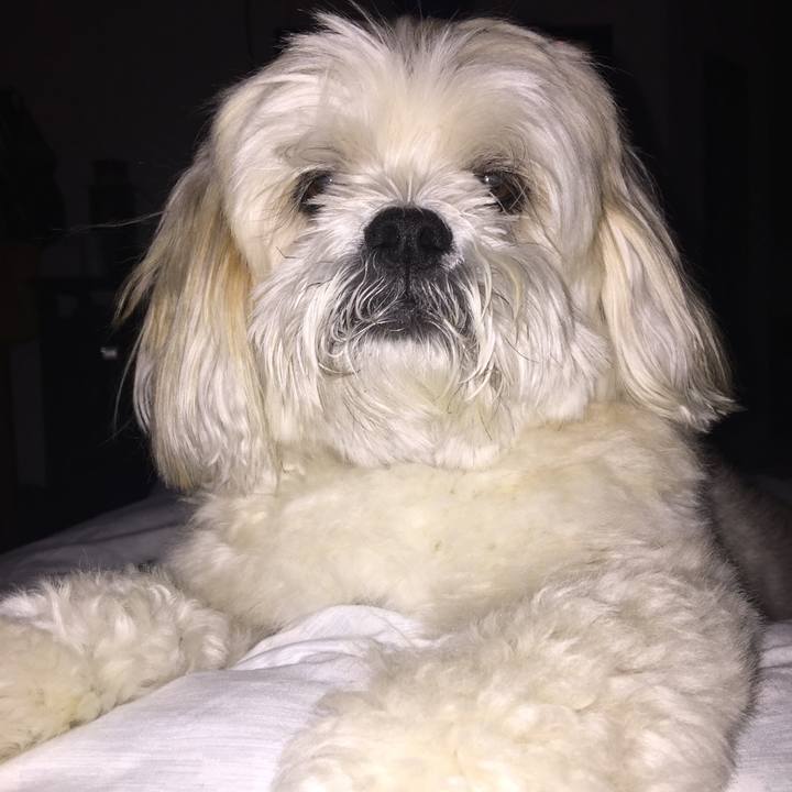 D0818209 a89e 4cdb 99b3 ad8052d1f02a