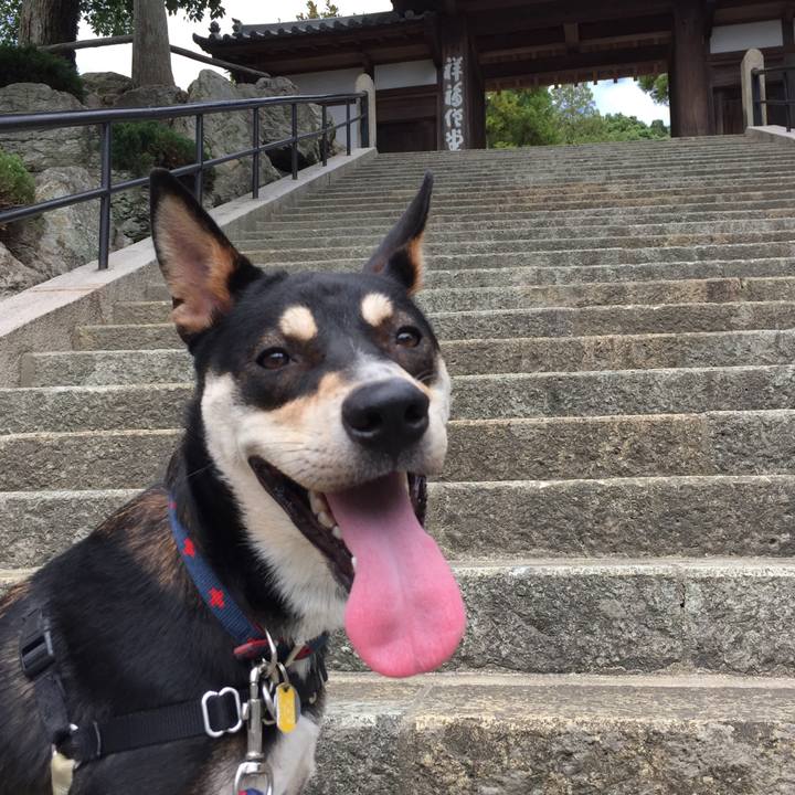 D0822432 a18f 4aa7 975f 333ea75bda23