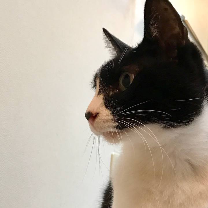 D082483c d612 453e 8e76 2f43826a70b8