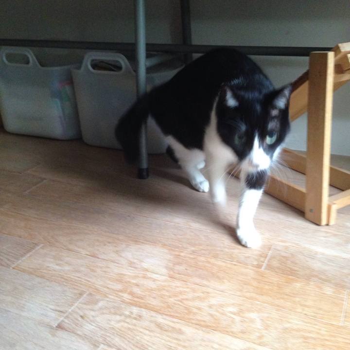 D08336e9 4325 4bf9 91f5 fc4dbd06e1bb