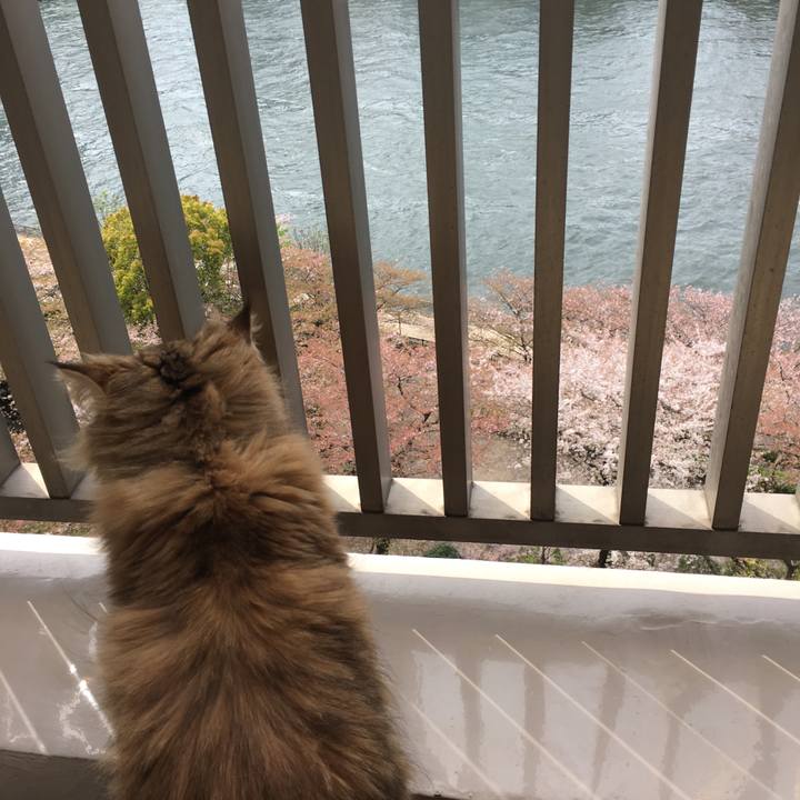 D083609d 69fe 4675 a642 30e68b3c5659