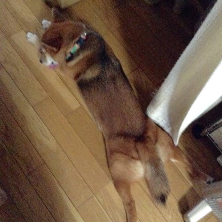 D0839f94 2de5 4415 a1a2 51874b9baeda