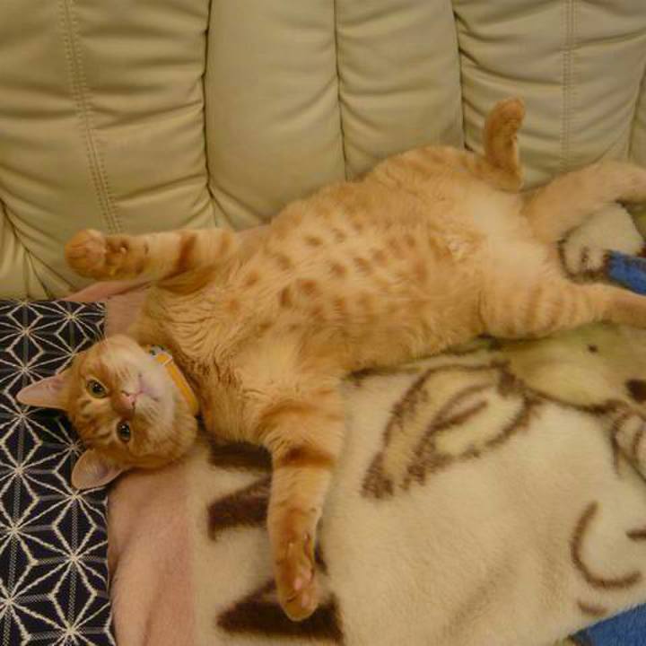 D0841be6 cddb 4891 a716 2a925d115b33