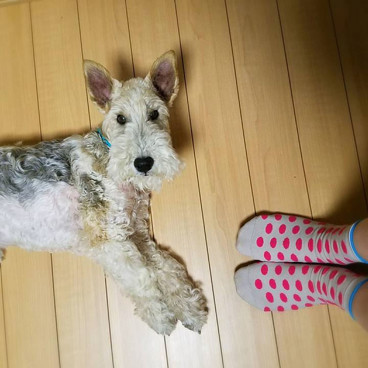 D084607f 5523 4f0e 82f6 6ace1ce0cea9