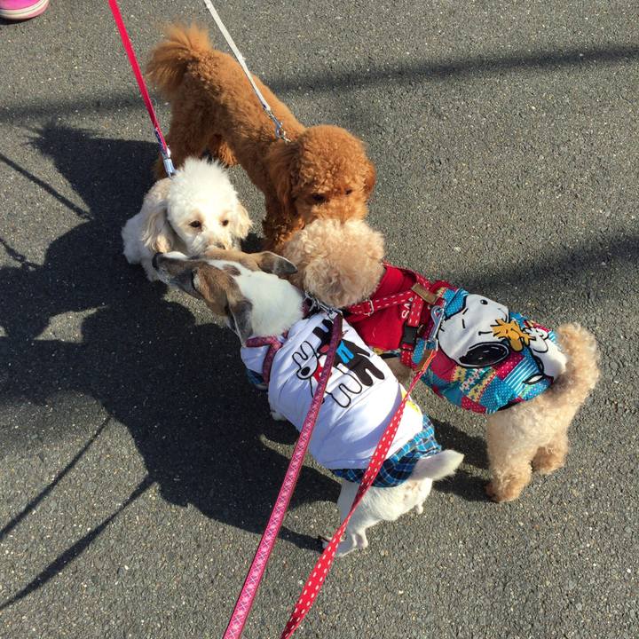 D086e997 e4e2 4fbe bd3c 078778d2aa8c