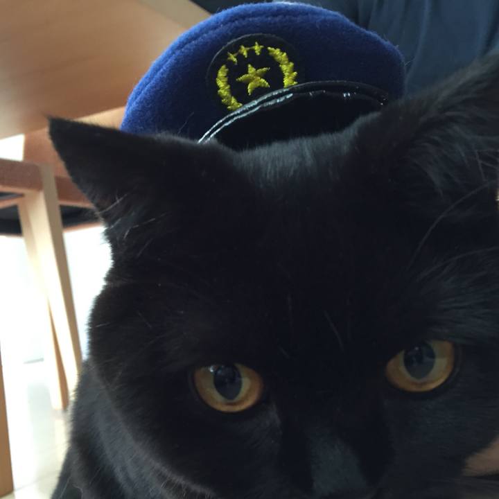 D0873abb 11d9 470c b3ab 64a0ec2a9c78