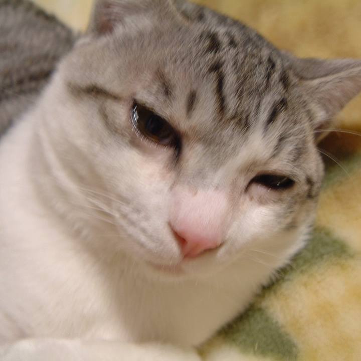 D0874d0e d815 45f7 a0e2 41b9a9d4b09f