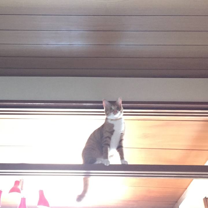 D0876911 d94f 4933 ae8a b0519ffd537a