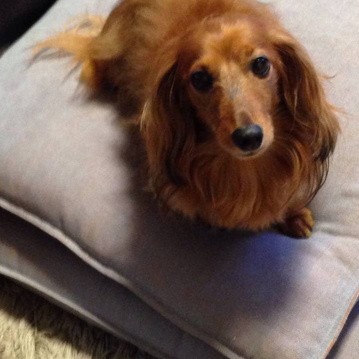 D08773f3 fb64 4ca7 8216 2c2f7affb070