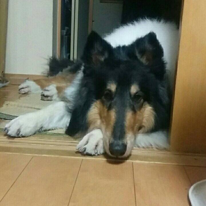 D08792fe 27d5 43fc bc25 2cd5f3c0066d