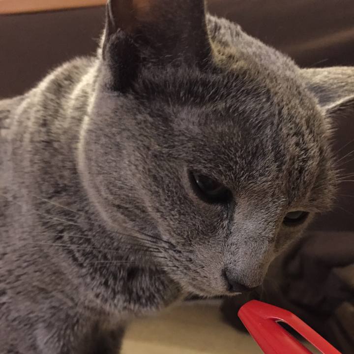 D088477b d01e 4224 aa61 4aa05728a55a