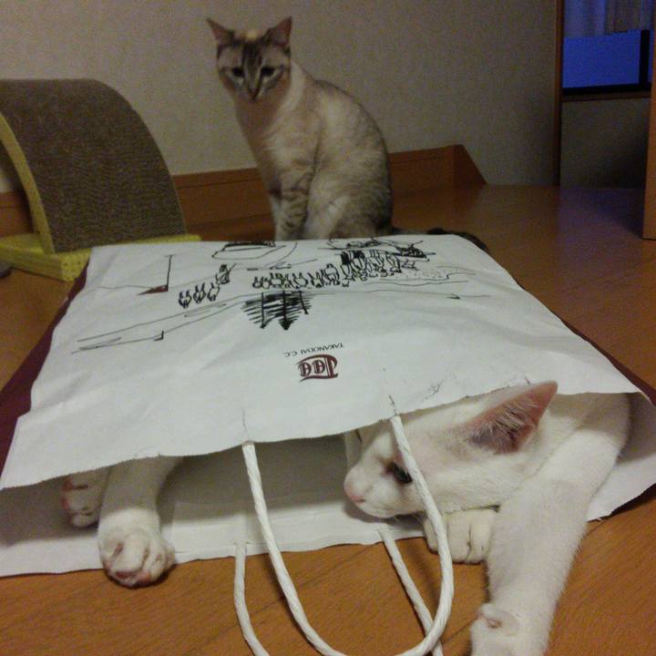 D0884c38 b5a8 4a32 a5d4 6405ca7fcaa6