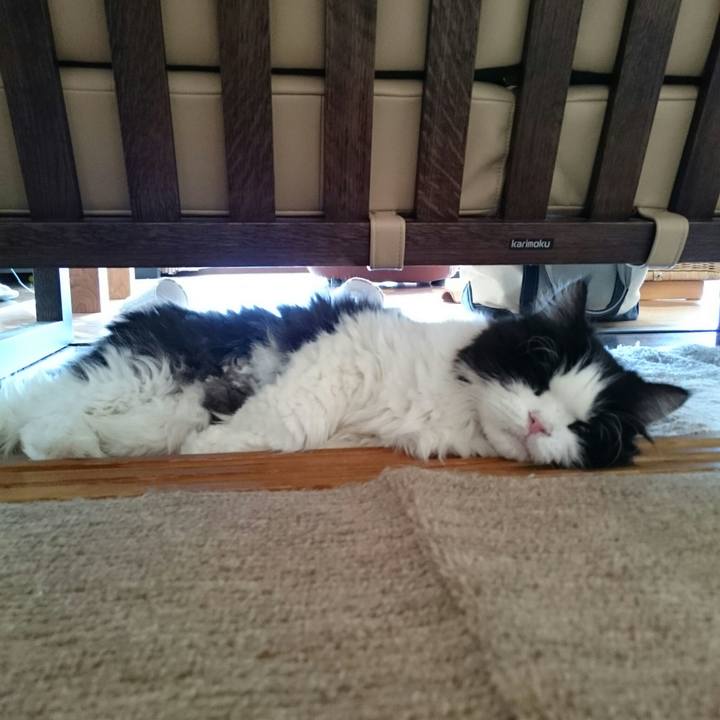 D0884cc1 6209 447c 9fc8 4c3f9fdbe2c6