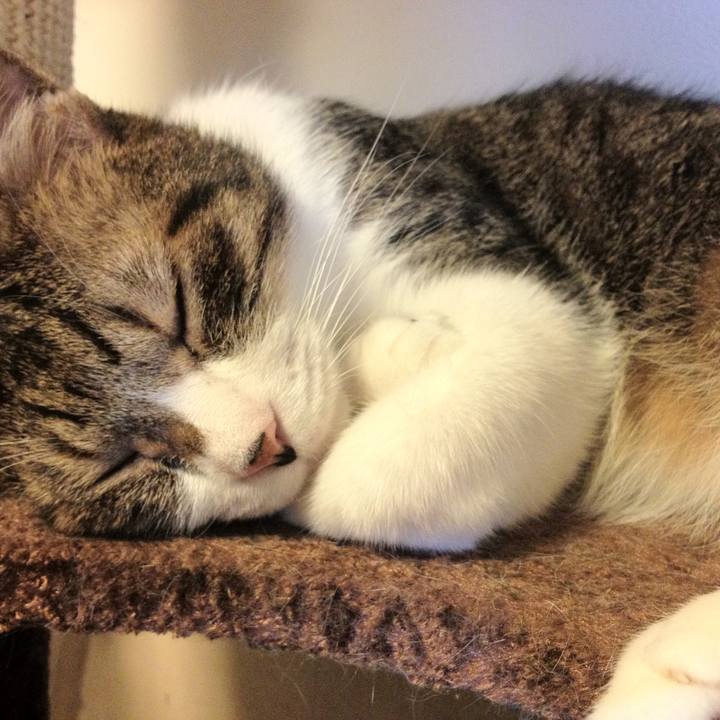 D088f7fb 042f 45ce aa7c 92641e98c614