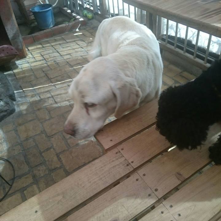 D089426b 00b6 4a68 ba8c 872d84c2226c