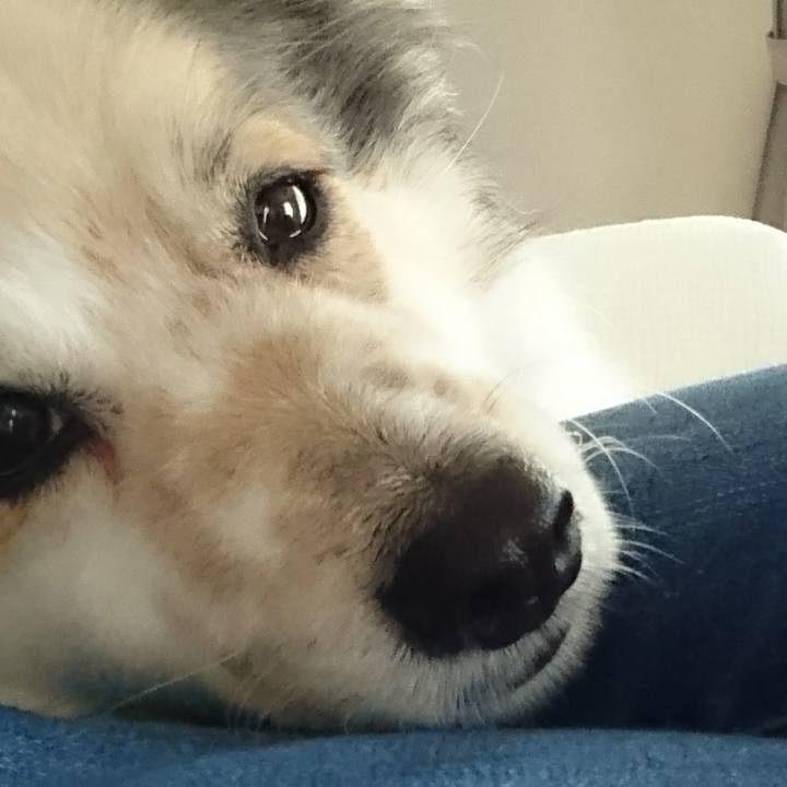 D0896a46 3084 421d ad7a c33fbc555c1c