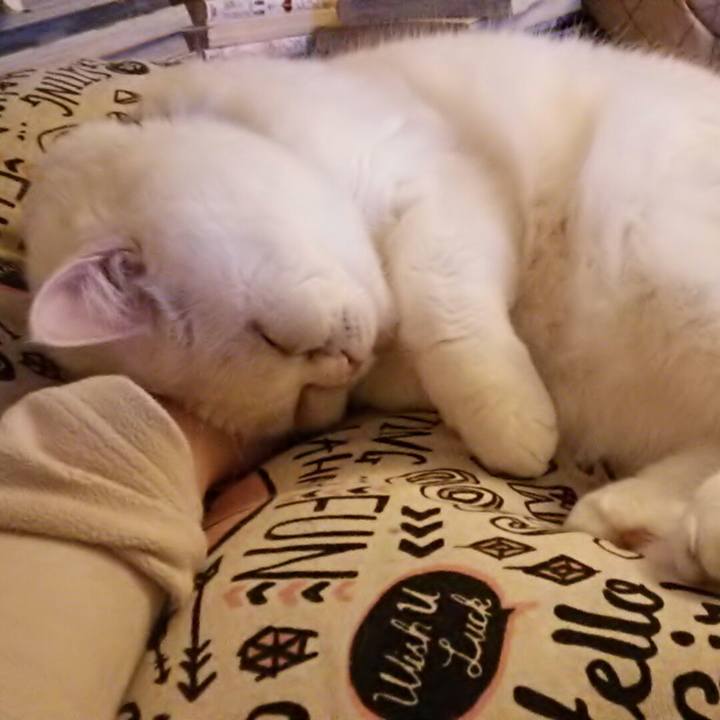 D08a1448 77a0 4085 95ca 3257698606e8