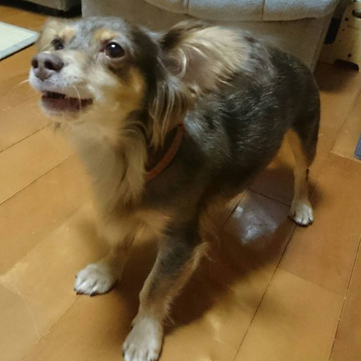 D08a4d0d b0af 4a13 97b7 00f7903df58c