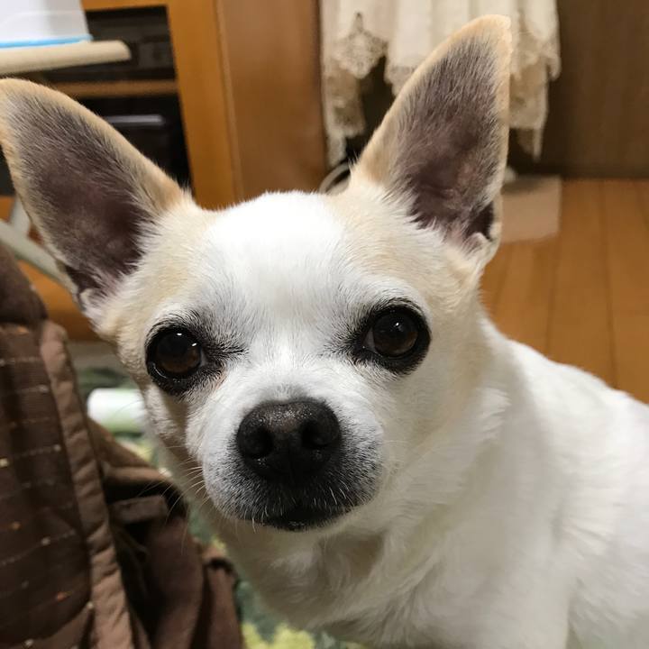 D08a5762 f65f 4a07 96c4 3f1b1d9f00f6