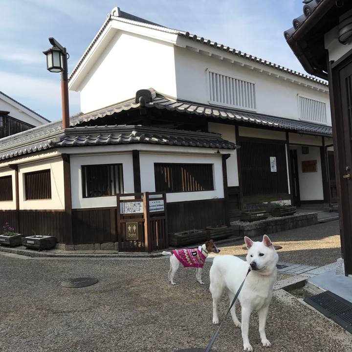 D08adaf0 e7b9 4f25 b889 332b477953d8