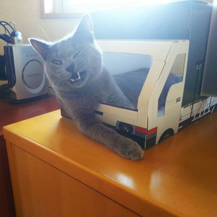 D08aefc5 52ab 49db 9677 1864eb3a6a1d