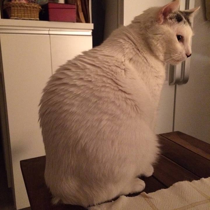 D08b1af9 9d21 4465 912d df0b0fcc51fc