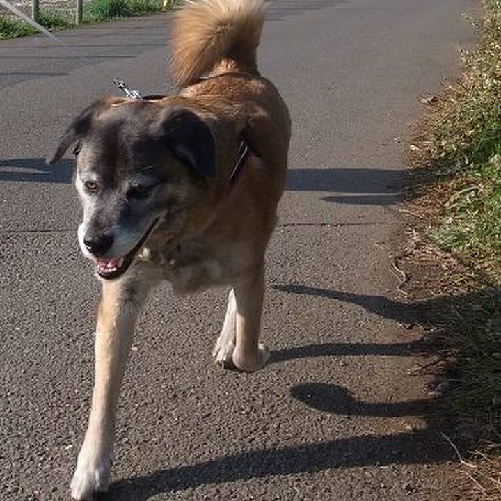 D08b2a55 cdd7 4cdd 8a1f c2468355a037