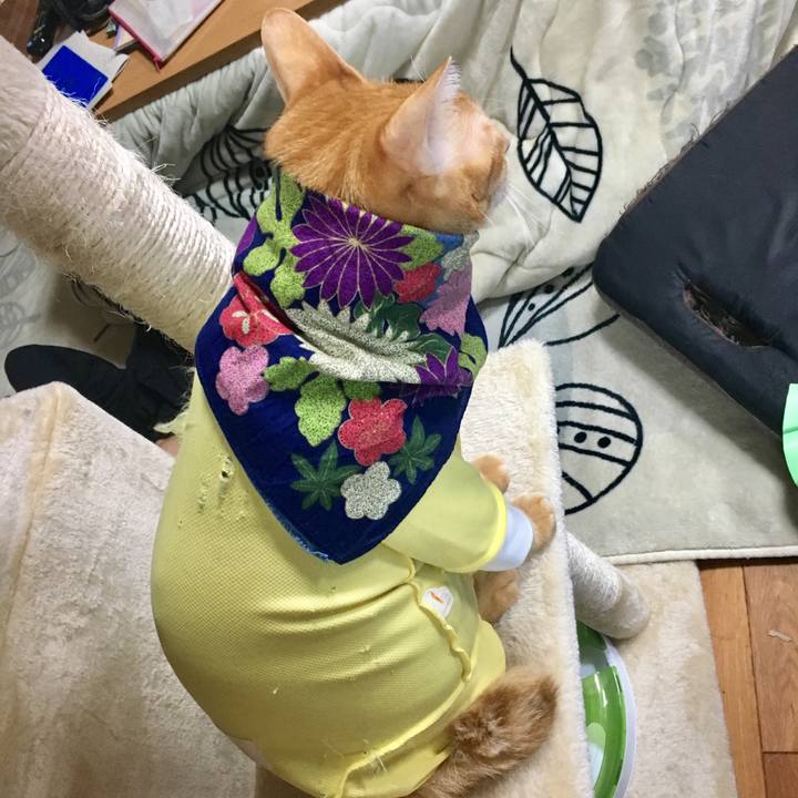 D08b34e4 4b28 4f77 a987 3f3a0e7c82d1