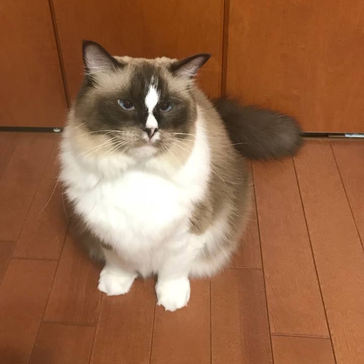 D08b63aa 18b3 4e08 b5ff af8441140d48