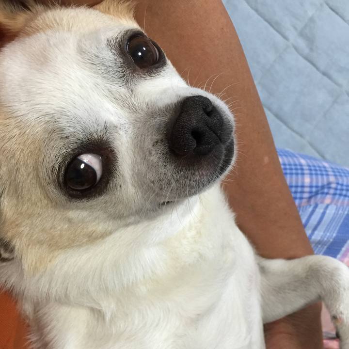 D08cf080 669a 4f03 9012 8a5f54855516