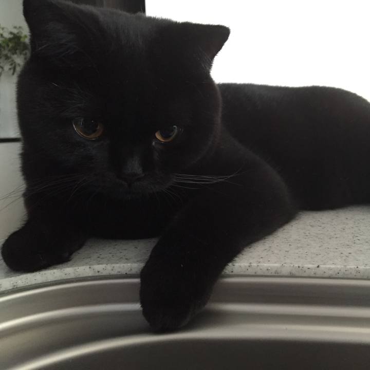 D08d101e 69f2 4605 be3c 7eff689911a1