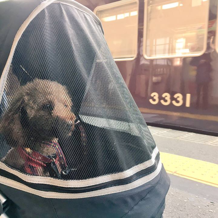 D08d736c c83f 4d6f 9c50 cac6ca6b808f