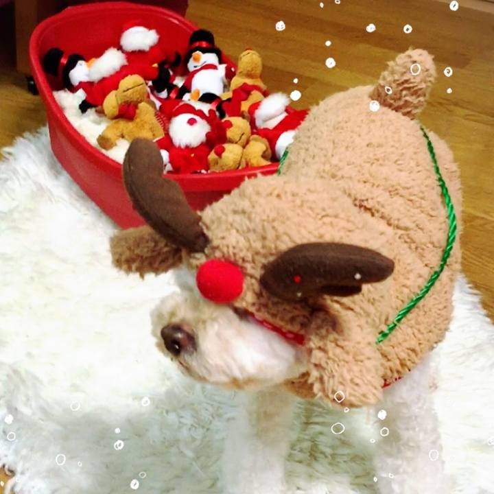 D08e058f b3a6 4ea9 8eb0 413d4ebf6f34