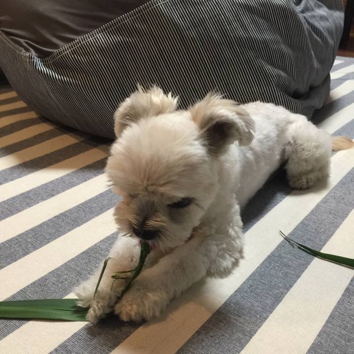 D08e27d5 e41d 45ba 8d7d 38ea3e5cc9e0