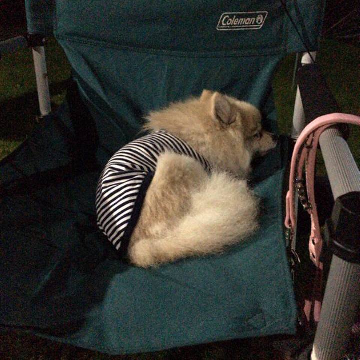 D08e3671 dbef 4ce4 a21e e17275c75182