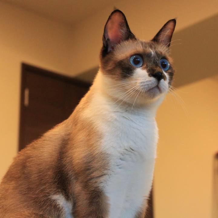 D08ec305 d298 4716 8040 615babc407e1