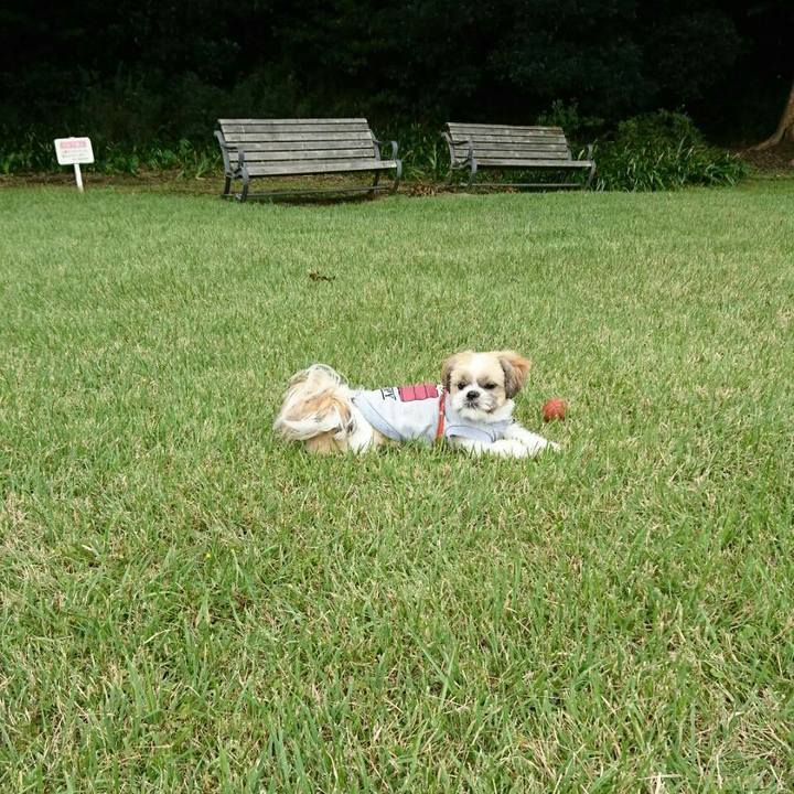 D08f5a15 9ad1 4b2b 8a89 74daf9d8841e