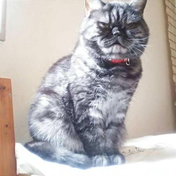 D0901006 4c0b 4373 ae3c 42664406425f