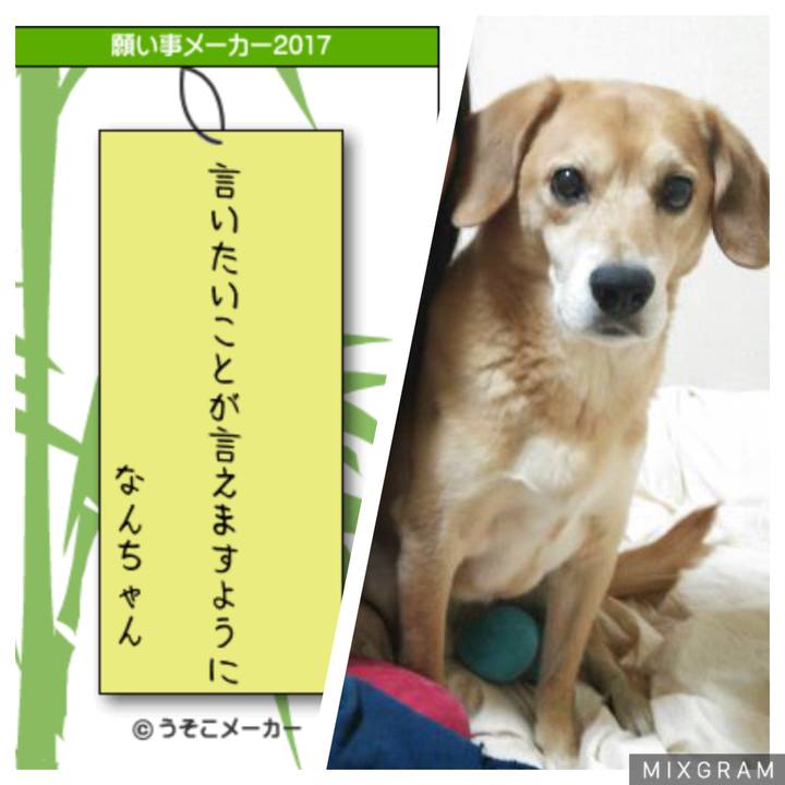 D0901c74 7521 44b2 99db 3f10fafe13e3